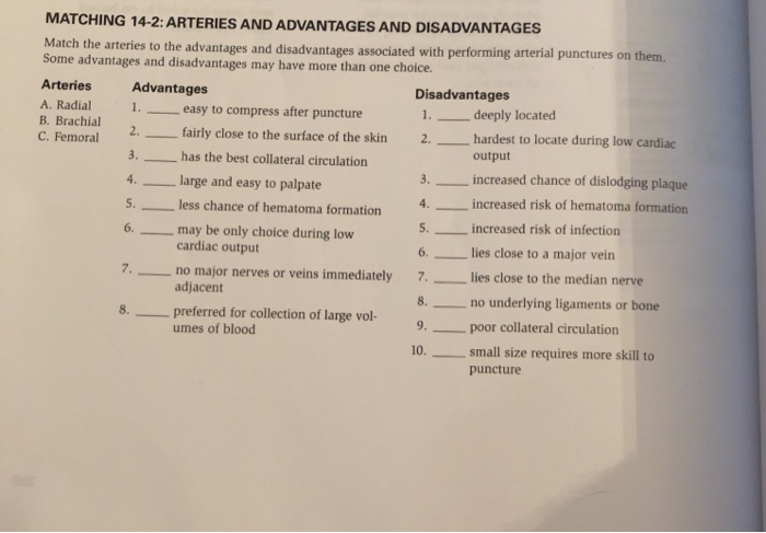 Solved MATCHING 14 2 ARTERIES AND ADVANTAGES AND Chegg