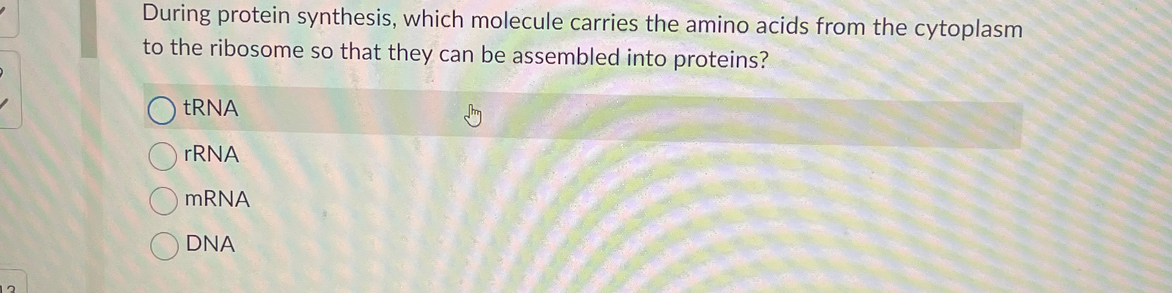 Solved During protein synthesis, which molecule carries the | Chegg.com