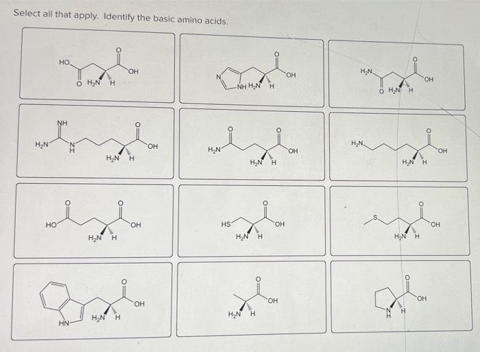 Solved Select all that apply. Identify the basic amino | Chegg.com