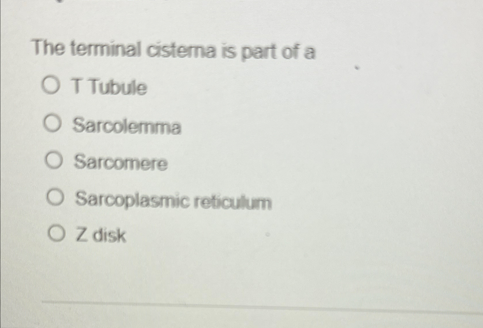 Solved The terminal cisterna is part of aT | Chegg.com