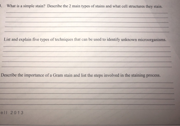 solved-3-what-is-a-simple-stain-describe-the-2-main-types-chegg