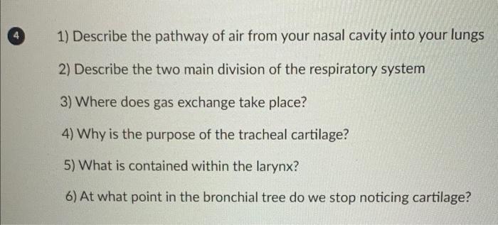 Solved 1) Describe the pathway of air from your nasal cavity | Chegg.com