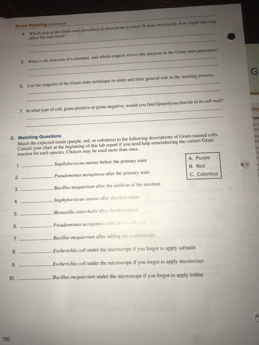Solved 14 Laboratory Report 16 Gram Staining A Results Do Chegg Com