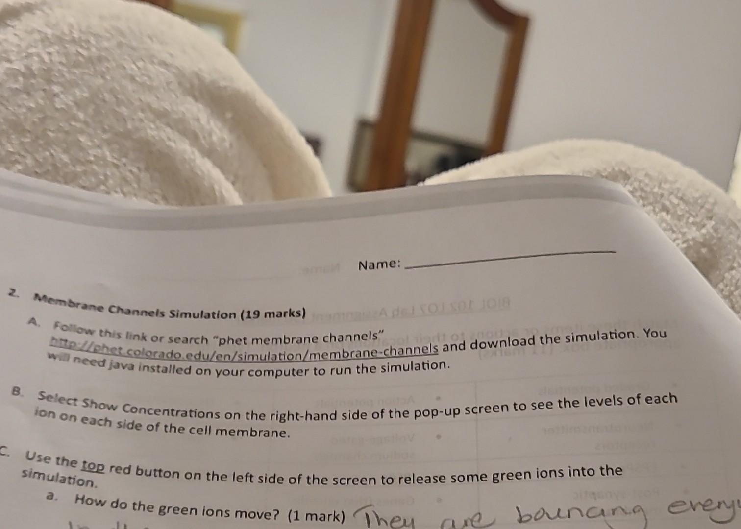 Solved 2 membrame channels simulation 19 marks a follow chegg