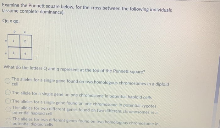 Solved Examine The Punnett Square Below, For The Cross | Chegg.com