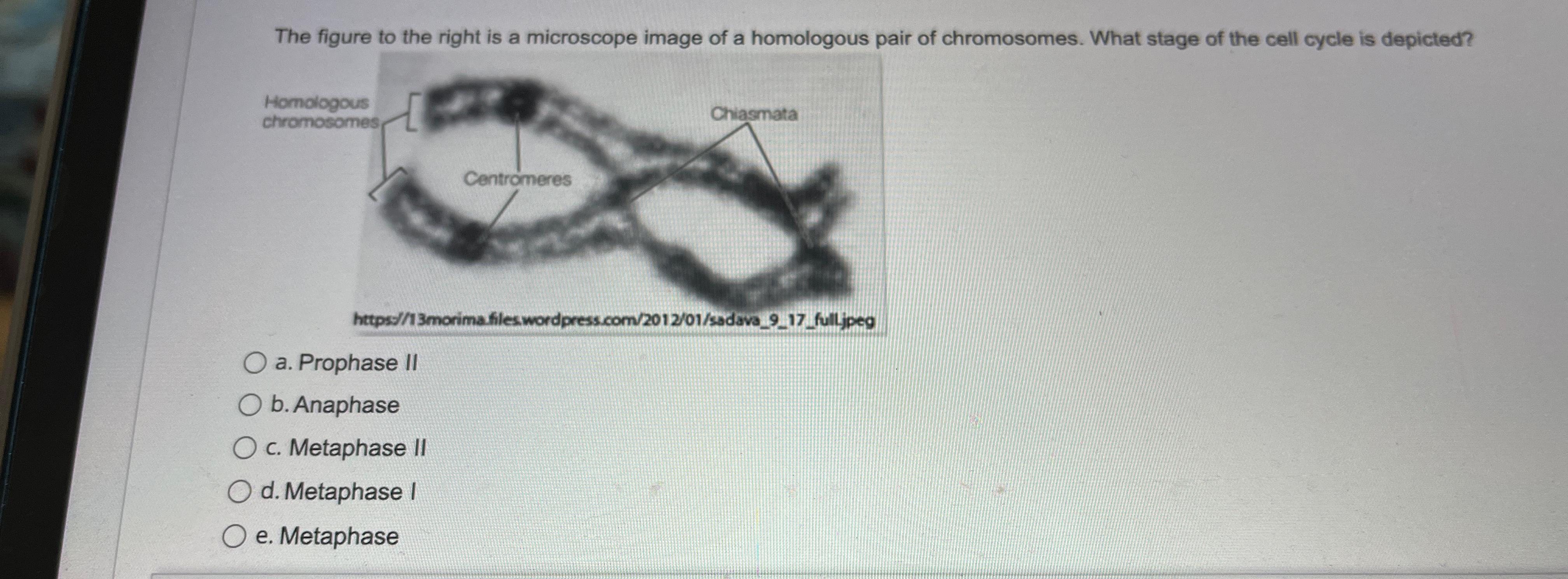 Solved The figure to the right is a microscope image of a | Chegg.com
