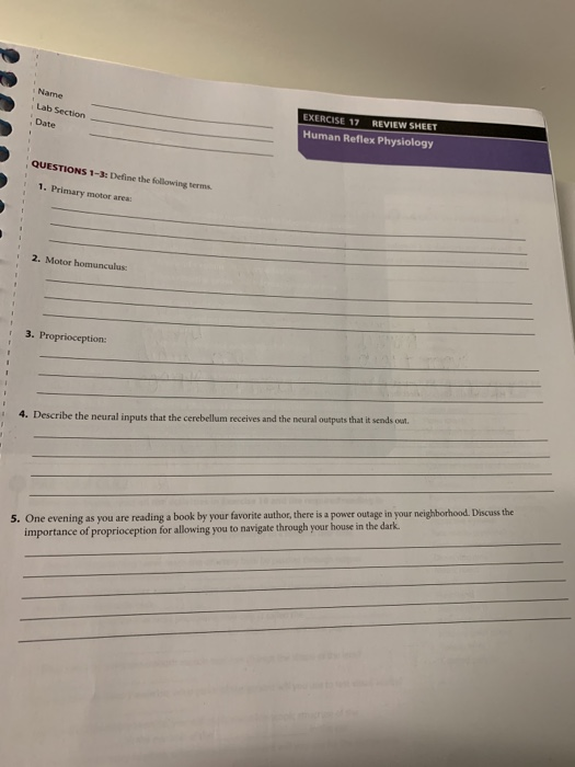 Solved Name Lab Section Date EXERCISE 17 REVIEW SHEET Human | Chegg.com