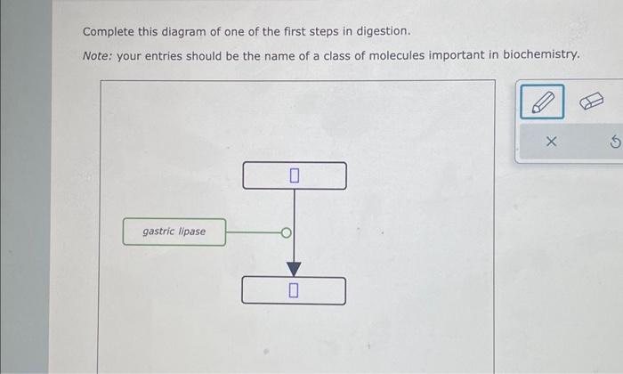 Solved Complete this diagram of one of the first steps in | Chegg.com