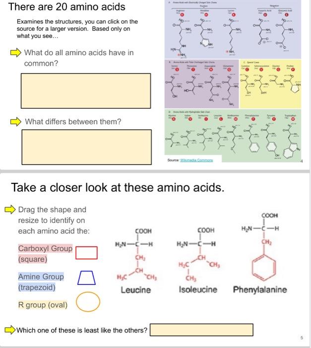 Solved There Are 20 Amino Acids Examines The Structures You