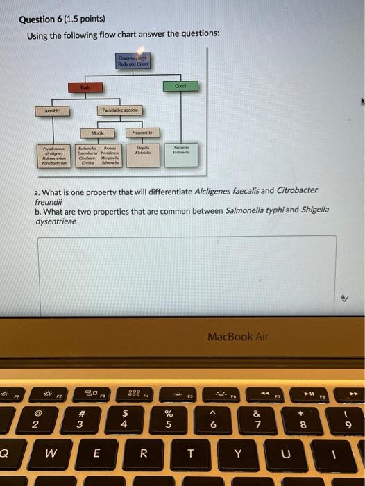 Solved Question 1 (1 point) What is the purpose of having a | Chegg.com