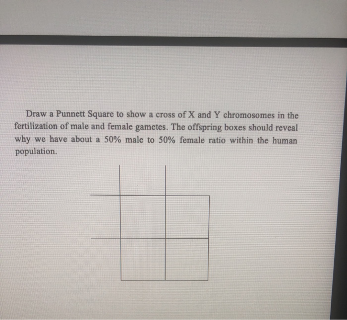 Solved Draw a Punnett Square to show a cross of X and Y | Chegg.com