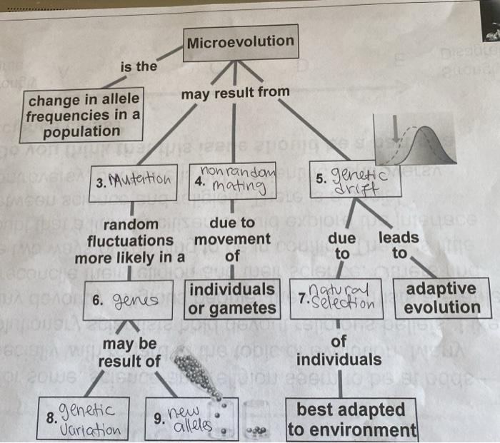 microevolution