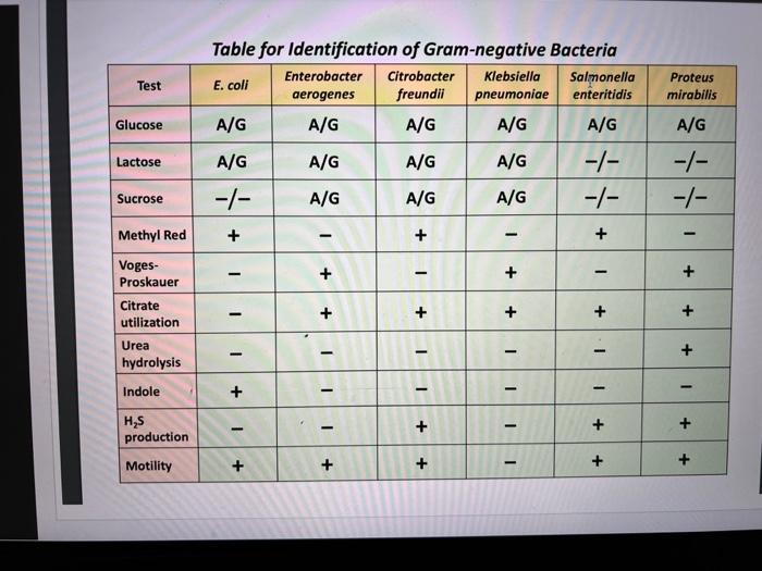 Solved Results Phenol Red Glucose broth Phenol Red Lactose