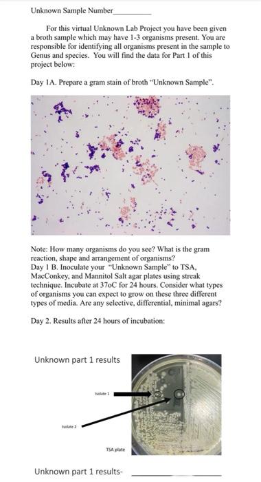Solved Unknown Sample Number For this virtual Unknown Lab | Chegg.com