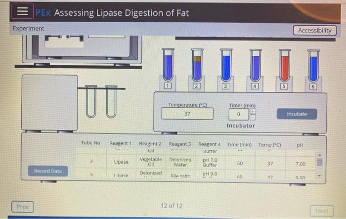 PEx Assessing Lipase Digestion of Fat Experiment Accessibility I IIII 100 Temperature (°C) 37 Timer (min) 0 Incubate Incubato