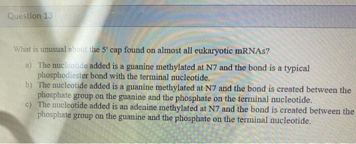 Solved Question 13 What is unusual about the 5' cap found on | Chegg.com