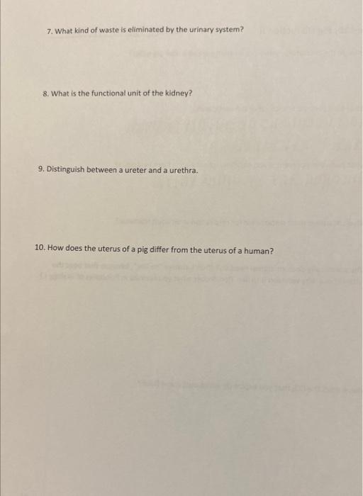 7. What kind of waste is eliminated by the urinary system?
8. What is the functional unit of the kidney?
9. Distinguish betwe