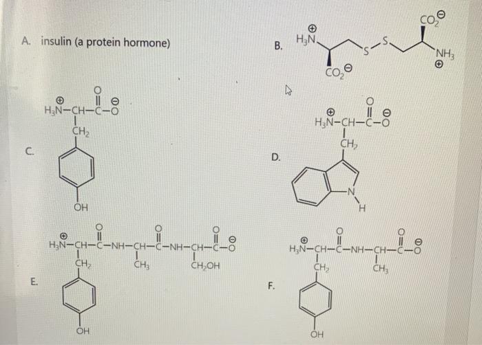 A Insulin A Protein Hormone Hen B Nh3 Il Chegg Com