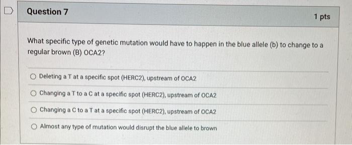 Solved What specific type of genetic mutation would have to | Chegg.com