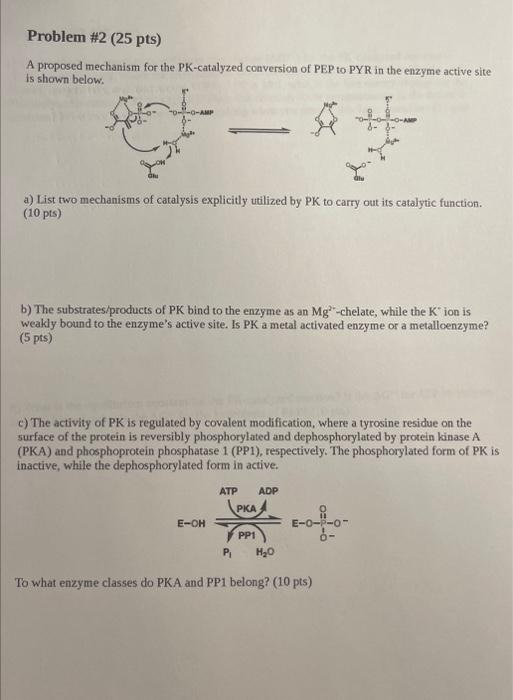 A proposed mechanism for the PK-catalyzed conversion | Chegg.com