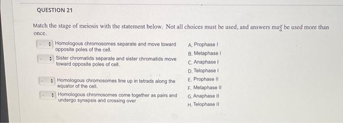 Solved Match the stage of meiosis with the statement below. | Chegg.com