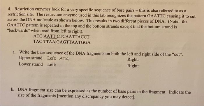 Solved 4. . Restriction enzymes look for a very specific | Chegg.com