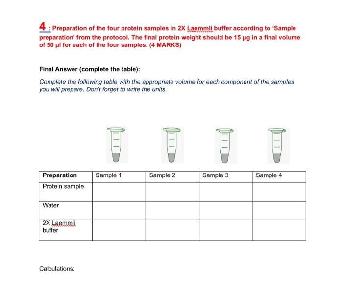 Solved 4 : Preparation of the four protein samples in 2× | Chegg.com