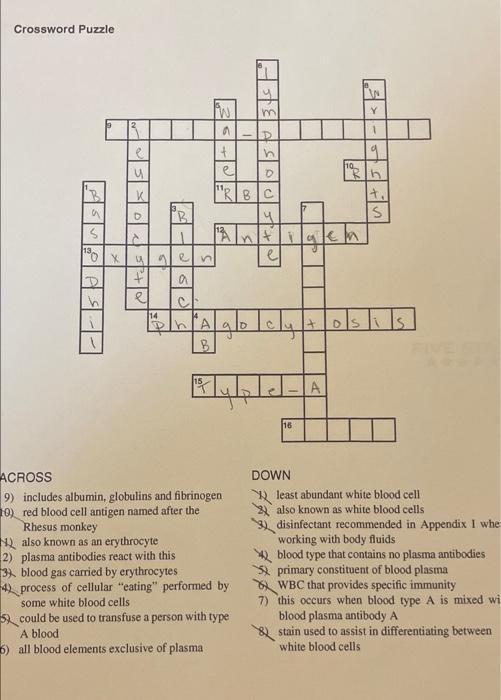 Crossword Puzzle Chegg com