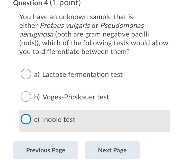Solved If you observe the image below after gram staining, | Chegg.com