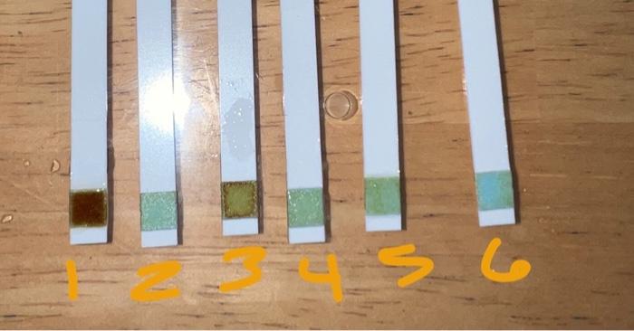 Solved here are the test strips that pertain to the course | Chegg.com