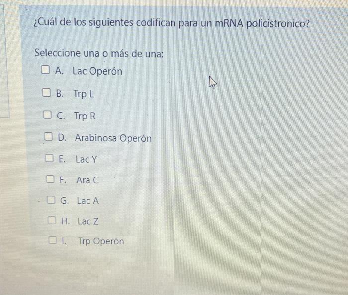 ¿Cuál de los siguientes codifican para un mRNA policistronico? Seleccione una o más de una: A. Lac Operón h B. Trp L C. Trp R