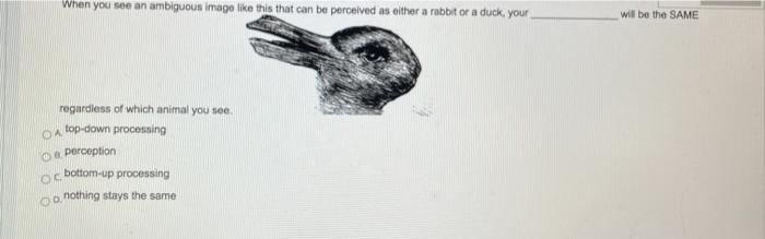 Solved When you see an ambiguous image like this that can be | Chegg.com