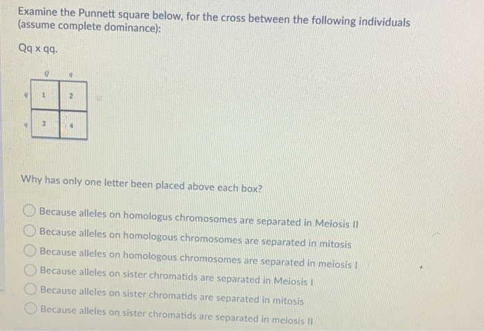 Solved Examine the Punnett square below, for the cross | Chegg.com