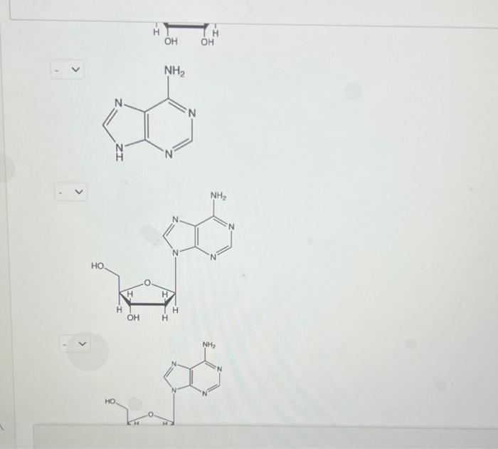 Solved Match the correct name to each of the structures | Chegg.com