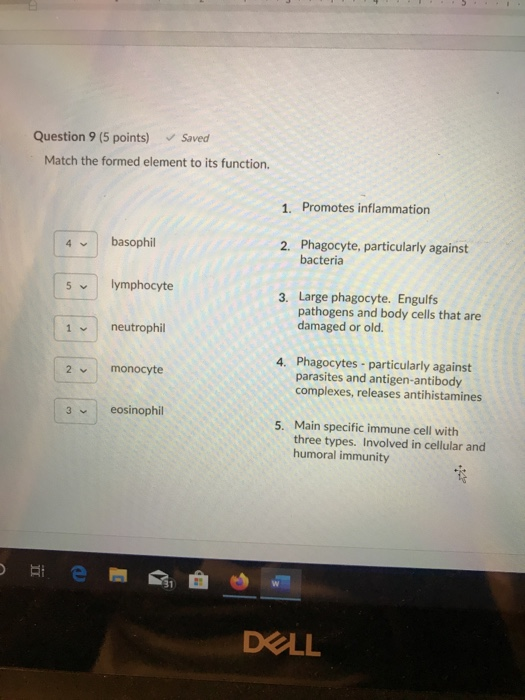 Solved Paragraph Styles Question 17 (6 points) Saved Match | Chegg.com