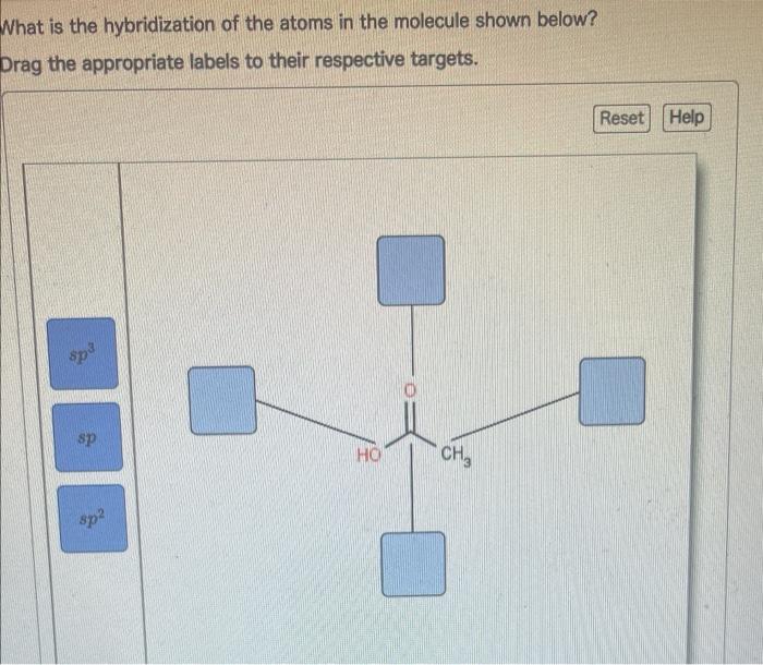 Solved What Is The Hybridization Of The Atoms In The | Chegg.com