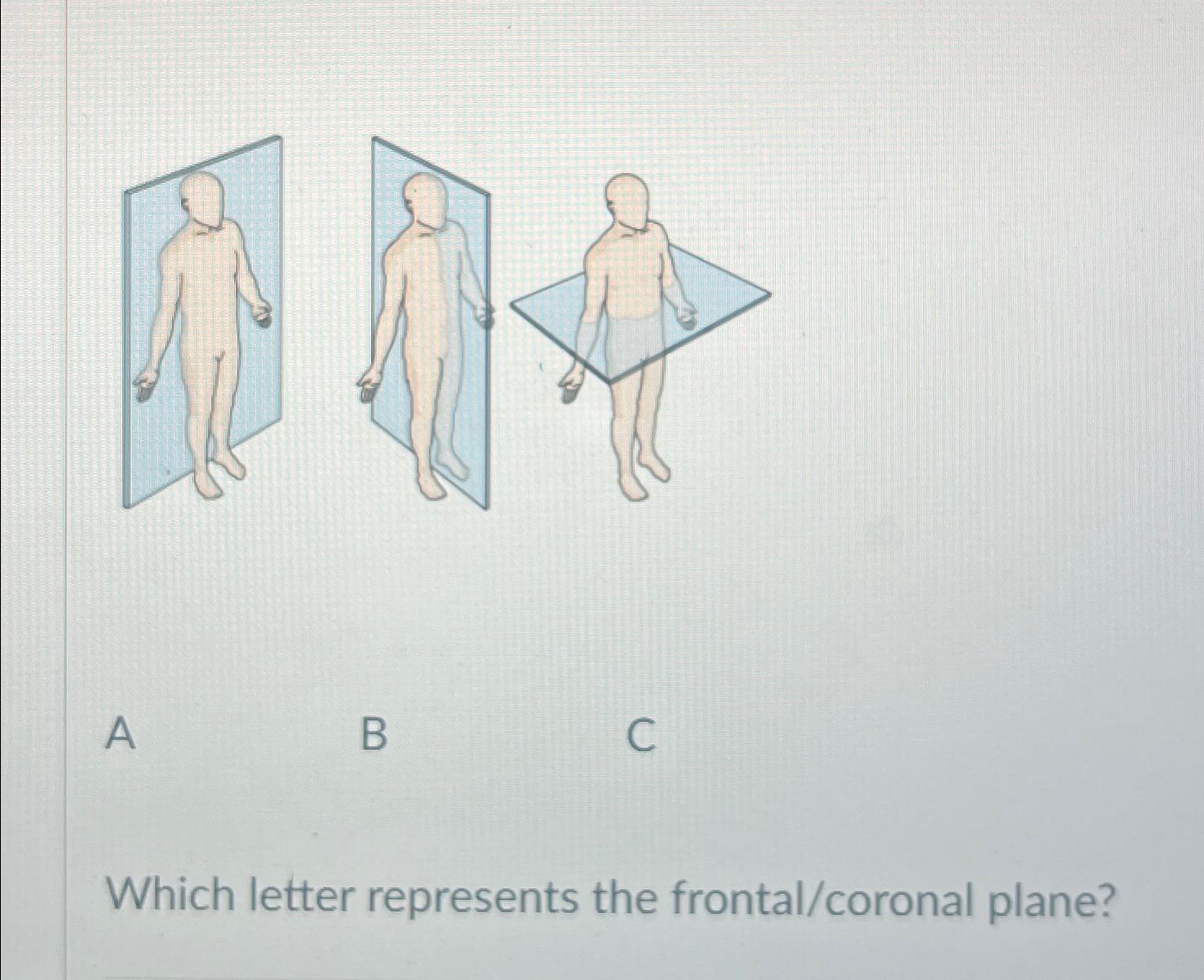 ABCWhich letter represents the frontal/coronal plane? | Chegg.com