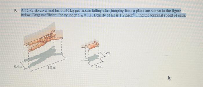 A \( 75 \mathrm{~kg} \) skydiver and his \( 0.020 \mathrm{~kg} \) pet mouse falling after jumping from a plane are shown in t