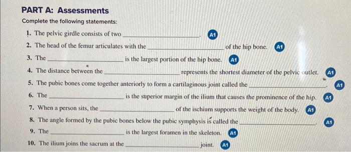 a) Pelvic girdle consisting of the hip bones, the sacrum, and the