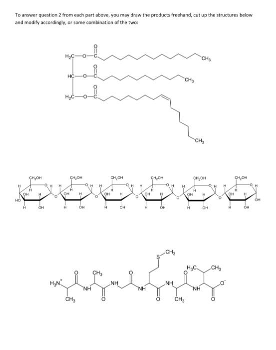 Solved Part I 1. Identify the biomolecule: Structure A is | Chegg.com