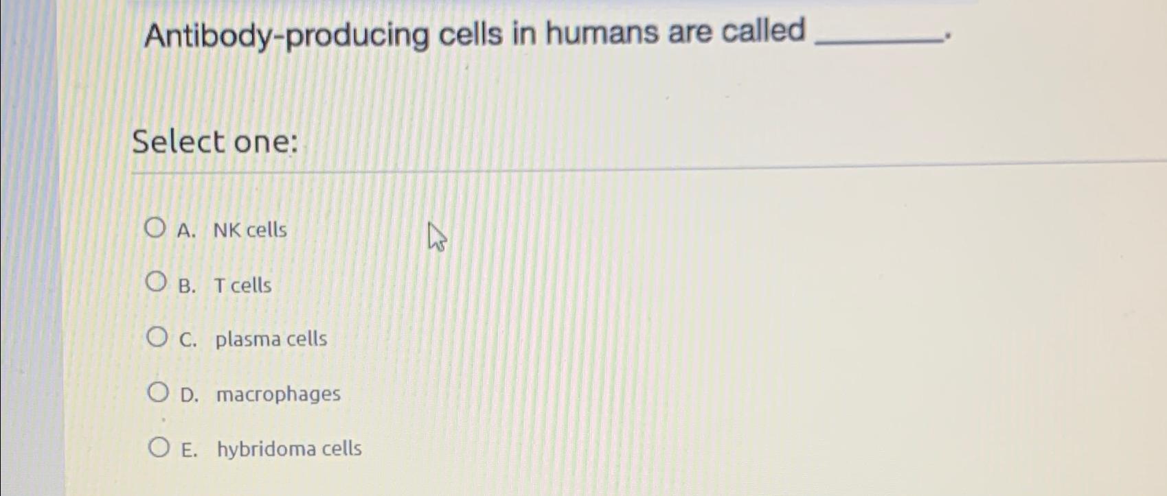 Solved Antibodyproducing cells in humans are calledSelect