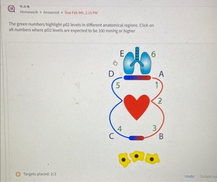 solved-the-green-numbers-highlight-p02-levels-in-different-chegg