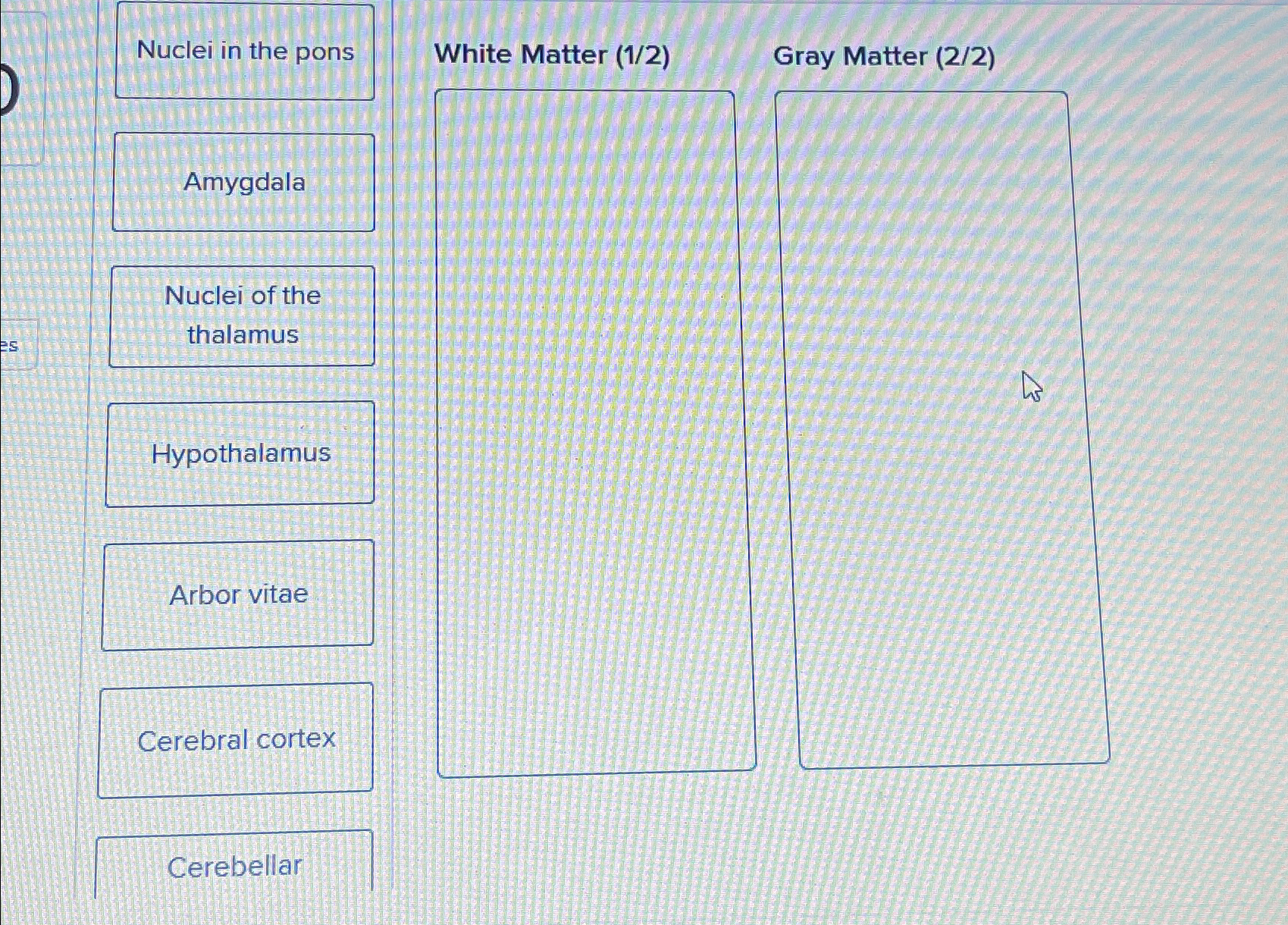 Solved Nuclei in the pons White Matter (1/2)Gray Matter | Chegg.com
