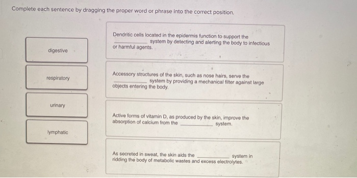 Solved Complete each sentence by dragging the proper word or | Chegg.com