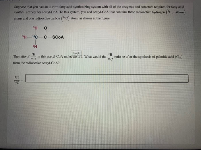 Solved Suppose that you had an in vitro fatty