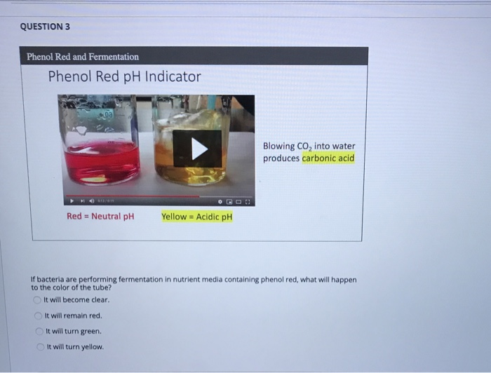 Solved QUESTION 1 When you blow through a straw into into