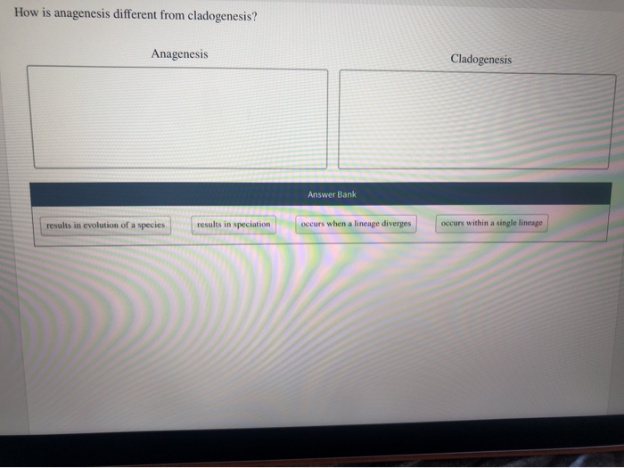 Solved How is anagenesis different from cladogenesis? | Chegg.com