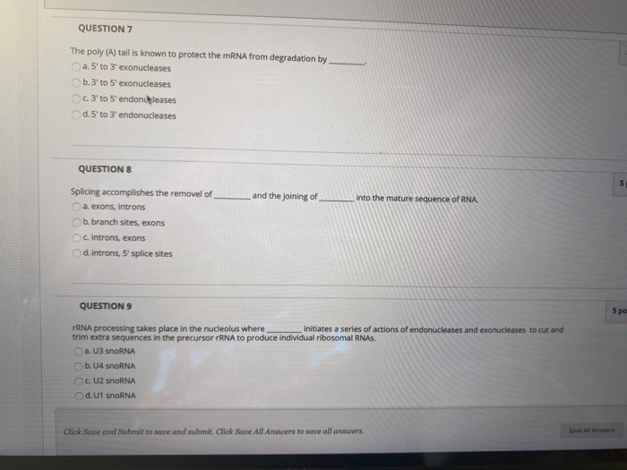 Solved QUESTION 7 The poly (A) tail is known to protect the | Chegg.com