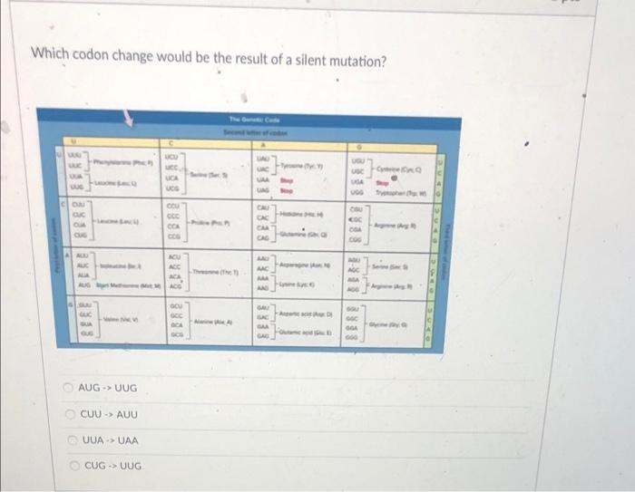 Solved Which codon change would be the result of a silent | Chegg.com