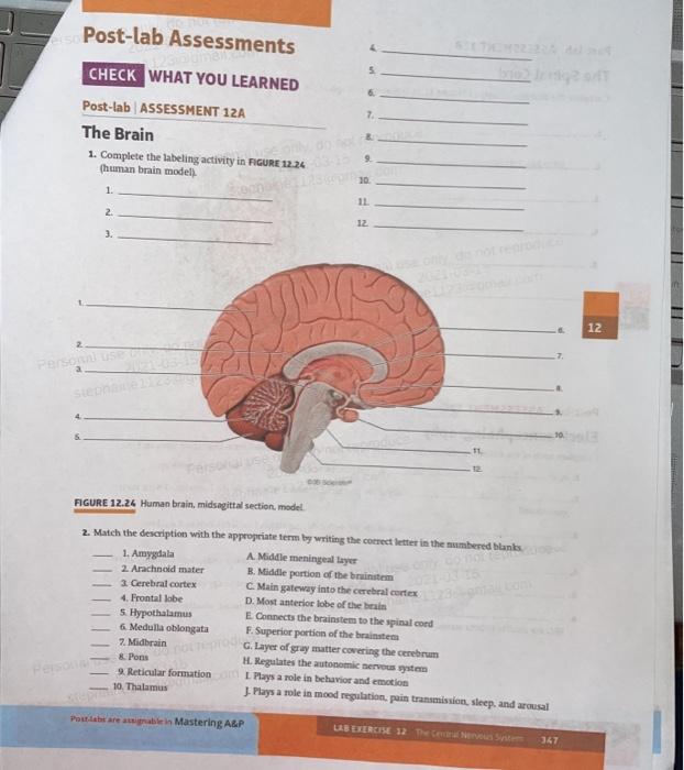 solved-post-lab-assessments-check-what-you-learned-7-chegg